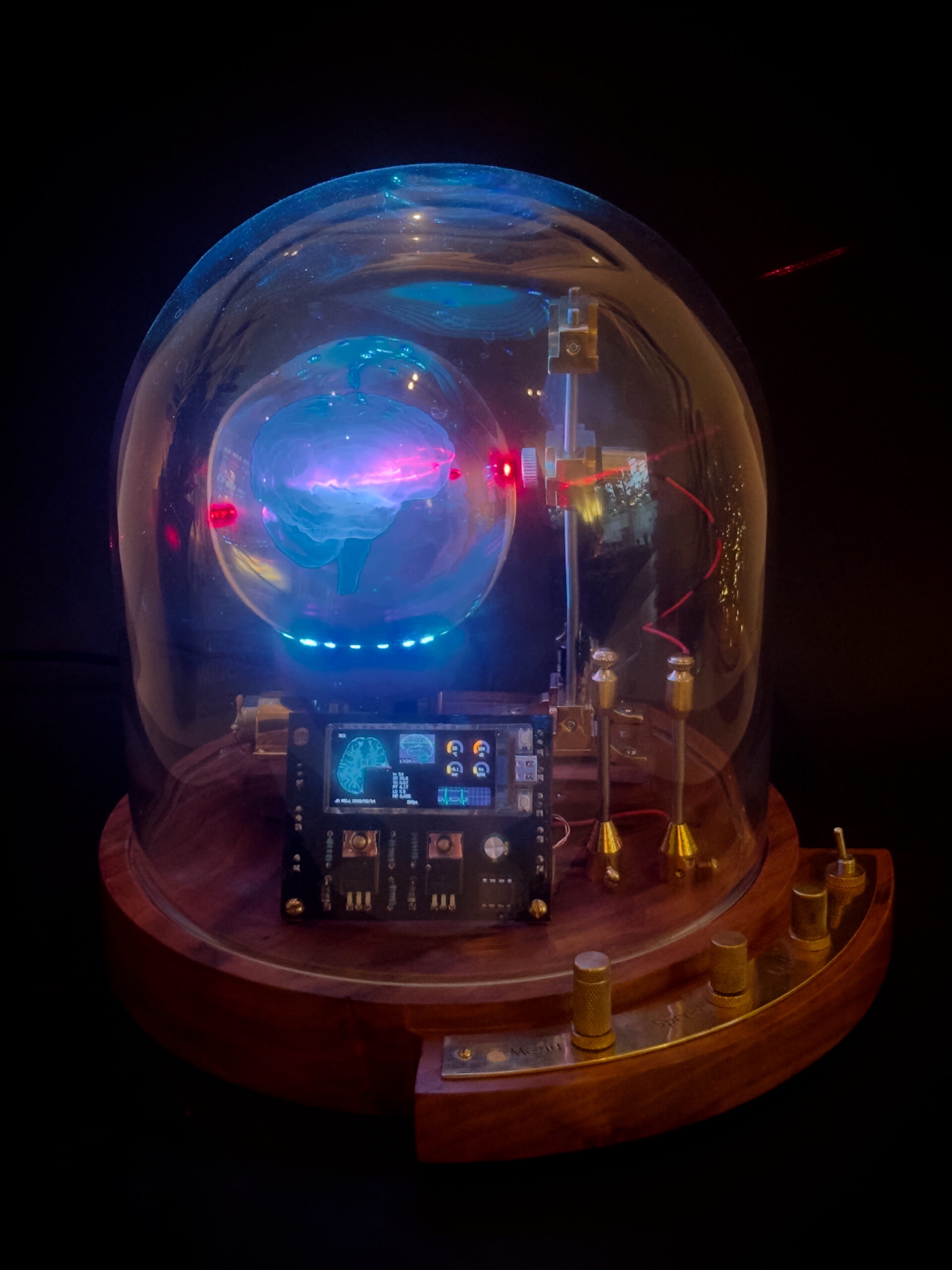 So I Built Myself a Brain Scanner